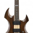 ESP LTD AX-2E