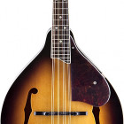 G9300 New Yorker Standard, A-Style Mandolin