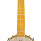 G9460 Dixie 6 Guitar-Banjo