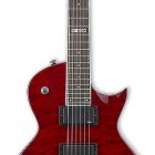 ESP LTD EC-100QM