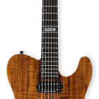 ESP TE-II Hardtail Koa (Limited Edition)