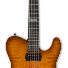 ESP TE-II Hardtail