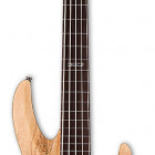 B-205SM Fretless