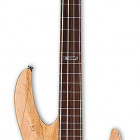 ESP B-204SM Fretless