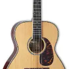 Takamine EF75M TT