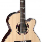 Takamine TSF48C (2017)