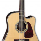 Takamine GD90CE-ZC