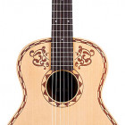 Cordoba Coco Guitar