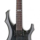 ESP LTD F-100FM