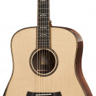 Taylor 910e