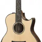 Taylor PS56ce