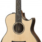 Taylor PS56ce