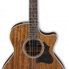 Ibanez AE245 (2018)