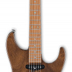 Ibanez TQM1