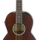 Ibanez AVNB1E