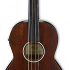 Ibanez AVNB1FE