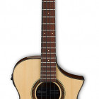 Ibanez AEWB32