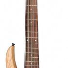 EB Bass 5-String 2018