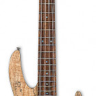 ESP B-208SM