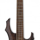 ESP LTD F-205FM