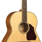 Washburn RSD135-D