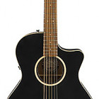 Fender Newporter Special