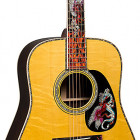 Martin D-45 Fire & Ice