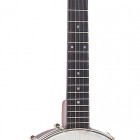 RKOH-05 Recording King Dirty 30s Open Back Banjo