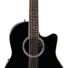 Applause 12-String Mid Depth AB2412II-5