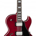 Colt Flame Top 12 String w/Piezo