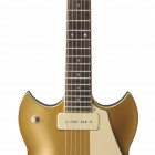 Gold Top