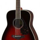 Tobacco Brown Sunburst