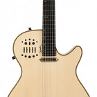 Godin Multiac Steel Spectrum Natural HG