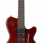 Godin xTSA Dark Trans Red Flame