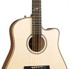 Seagull Guitars Artist Cameo CW Element