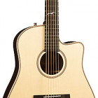 Seagull Guitars Artist Peppino Signature CW Element