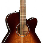 Seagull Guitars Performer CW Concert Hall Burnt Umber QIT