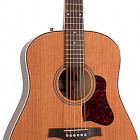 Seagull Guitars Coastline Momentum HG A/E