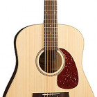 Seagull Guitars Coastline S6 Spruce