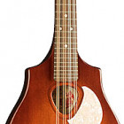 S8 Mandolin Burnt Umber