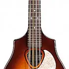 Seagull Guitars S8 Mandolin Sunburst EQ