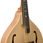 JTMN-30 S