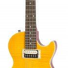 Slash AFD Les Paul Special II Outfit