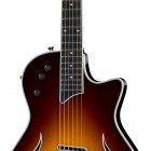 Taylor T5Z Standard