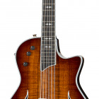 Taylor T5z-12 Custom