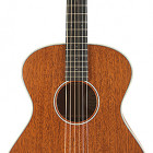 Breedlove Frontier Concert E