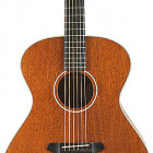 Breedlove Frontier Concerto E