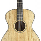 Breedlove Oregon Concertina E