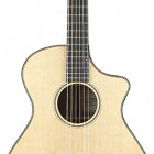 Breedlove Oregon Sitka - Myrtlewood Concert CE