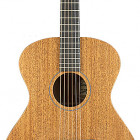 Breedlove USA Concert Day Light E